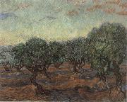 Vincent Van Gogh Olive Orchard,Saint-Remy France oil painting artist